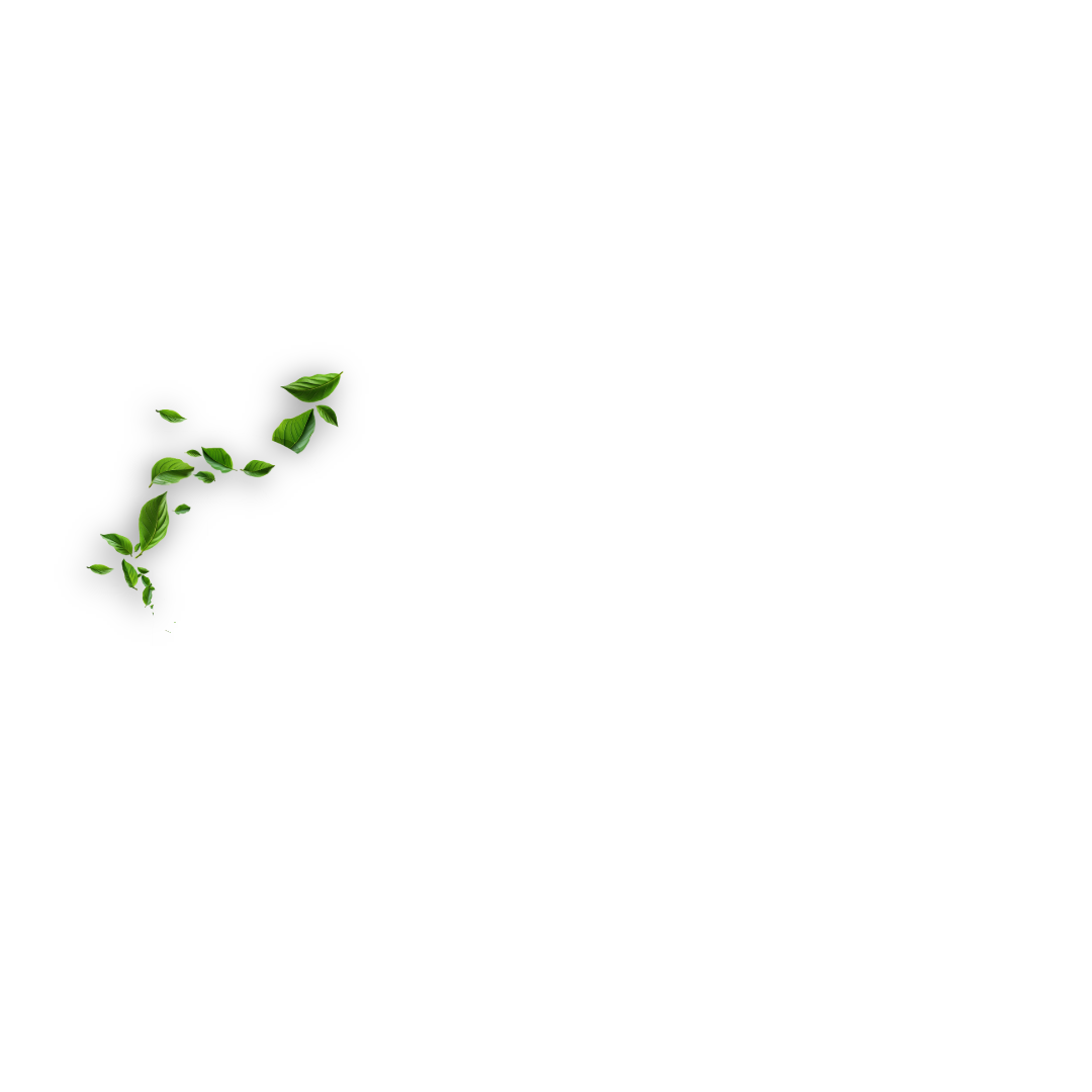 Distribuidora DI Guatemala